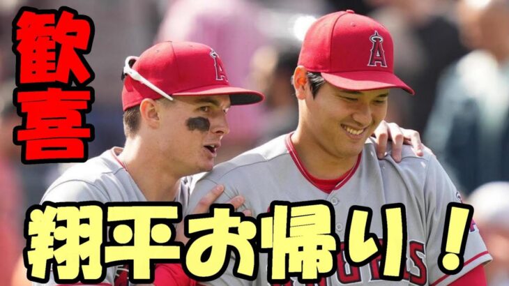 【大谷翔平】グラウンド登場にファン歓喜！「翔平！お帰りなさい！」