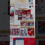 大谷翔平プレミアムフレーム切手セット