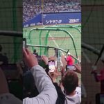 大谷翔平　フリーバッティング　ナゴヤドーム