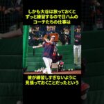 大谷翔平のオフに関する面白い雑学 #野球 #野球解説 #雑学