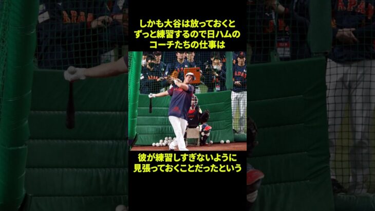 大谷翔平のオフに関する面白い雑学 #野球 #野球解説 #雑学