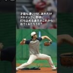 大谷翔平に関する面白い雑学 #野球 #野球解説 #雑学