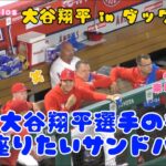 大谷翔平選手の横に座りたいサンドバル❗️#大谷翔平現地映像 #エンゼルス #野球