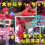 【大谷翔平インダグアウト】ひまわりの種をゴーカイに食べる大谷選手！種のカラを吐き出す姿がカッコ良すぎる💛ネトを心配する優しい翔平さん#エンゼルス #大谷翔平現地映像 #野球