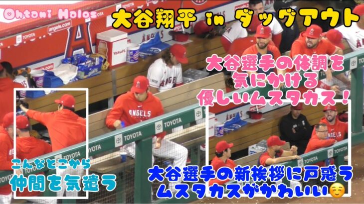 大谷選手の新挨拶に戸惑うムスタカスが可愛い😊大谷選手の体調を気にかける優しいムスタカス！#大谷翔平現地映像 #エンゼルス #野球