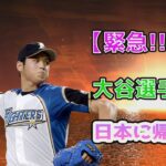 【必見速報!!!!!】大谷翔平が再び日本に帰国することになりました！ 大谷翔平のユニフォームは完売しました！