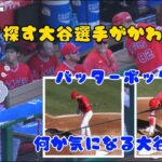 何かを探す大谷選手がふしぎかわいい😊バッターボックスで何か気になる大谷選手！#大谷翔平現地映像 #大谷翔平 #エンゼルス #野球