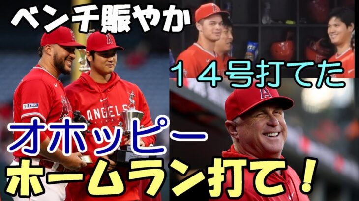 【大谷翔平】海外の反応！フィールド登場！オホッピー「翔平からホームラン打てって指示があったんだ！」、ネビン監督、エステベス 会見で大谷復帰を語る！