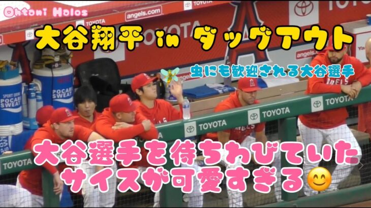 大谷翔平インダグアウト大谷選手を待ちわびていたサイスが可愛すぎる！#エンゼルス #大谷翔平現地映像 #野球