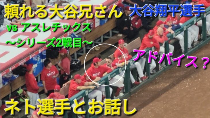 頼れる大谷兄さん【大谷翔平選手】ネト選手とお話しでアドバイス!?vs アスレチックス〜シリーズ2戦目〜