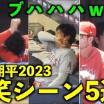 ツボり方がオモロすぎw 大谷翔平 2023年の爆笑シーン5選【現地映像】エンゼルス・WBC侍ジャパン