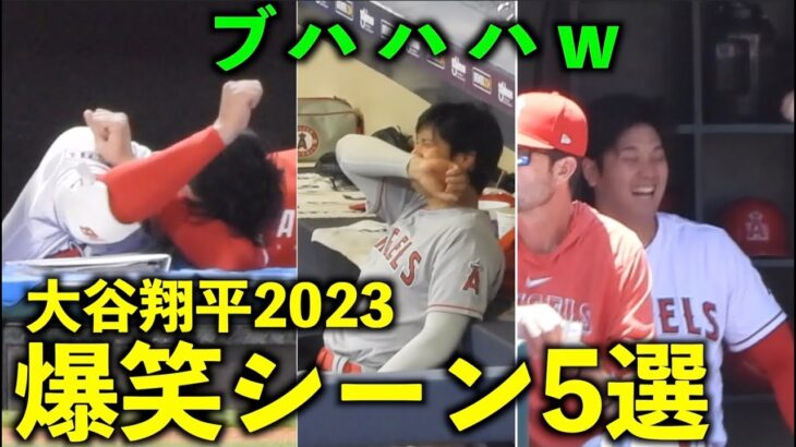 ツボり方がオモロすぎw 大谷翔平 2023年の爆笑シーン5選【現地映像】エンゼルス・WBC侍ジャパン