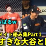 みんなと仲良すぎw 大谷翔平 2023年のチームメイトとの絡みをまとめてみたPart１！【現地映像】WBC侍ジャパン・エンゼルス