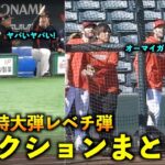 少年のようなリアクションが最高w 大谷翔平の特大ホームランを見たチームメイト、観客の反応をまとめてみた！2023年【現地映像】WBC2023侍ジャパン・エンゼルス