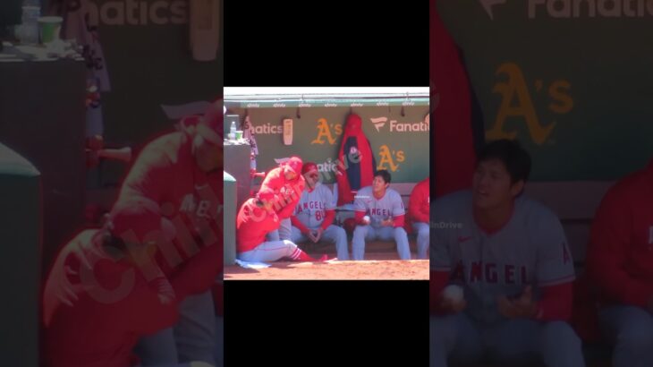 戯れるフレッチとスアレスw と大谷さん #shorts #short #大谷翔平 #shoheiohtani #エンゼルス #angels #現地映像