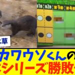 【的中率0%】カワウソくんの日本シリーズ勝敗予想