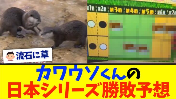 【的中率0%】カワウソくんの日本シリーズ勝敗予想