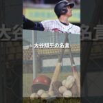 大谷翔平の名言02