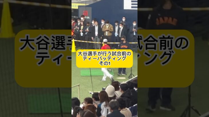 【その1】大谷翔平が水原通訳と行う試合前ティーバッティング