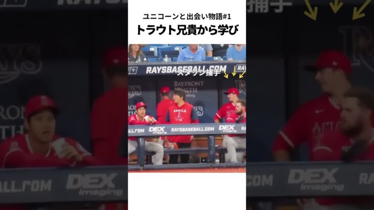 【大谷翔平】ユニコーンと出会いの物語#1：トラウト兄貴から学び 👏👏👏 #shorts  #shoheiohtani #baseball