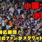 これぞ日本の応援団！12球団のファンがスクワット応援！！　2023/11/17 日本vs韓国