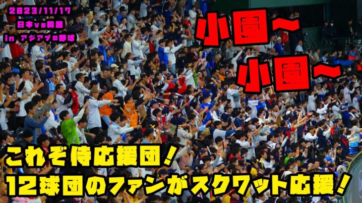 これぞ日本の応援団！12球団のファンがスクワット応援！！　2023/11/17 日本vs韓国