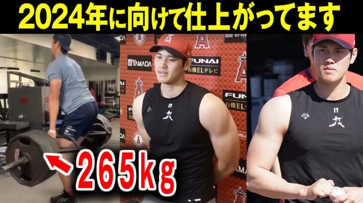 【大谷翔平】パワー競技でも超一流？2023年冬は大谷翔平のウエイトトレーニングがエグいほど飛躍する【海外の反応】