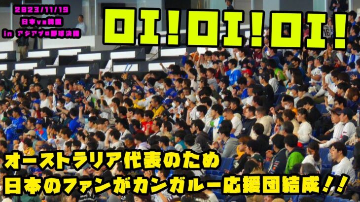 オーストラリア代表のため日本のファンがカンガルー応援団結成！！　2023/11/19 オーストラリアvs台湾