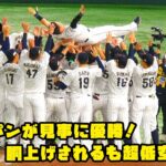 牧くん　胴上げされるも超低空飛行！侍ジャパンが見事に優勝！！　2023/11/19 日本vs韓国