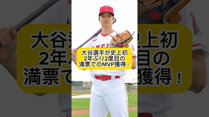 大谷翔平が2年ぶり2度目の満票でのMVP獲得！ネット上では「大谷の犬」が話題！