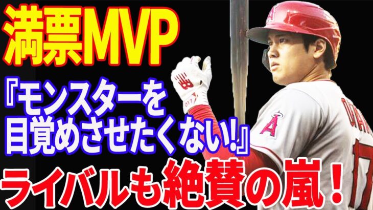 【 大谷翔平 】史上初2度目満場一致のMVP「高いレベルでこなせた。特別なこと」ライバルからも絶賛の嵐【海外の反応】