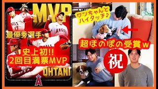 【おめでとう！大谷翔平2年ぶりMVP奪還!!】2回目満票MVPは史上初！ワンちゃんとハイタッチ♪超ほのぼの受賞会見ｗ（2023 AMERICAN-LEAGUE MVP）