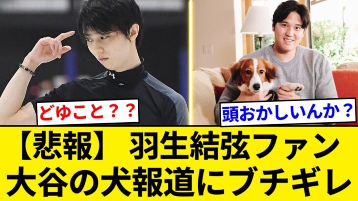 羽生結弦ファン、大谷翔平の犬にブチ切れｗｗｗ「名前を晒し上げろ！」【5chまとめ】【なんJまとめ】