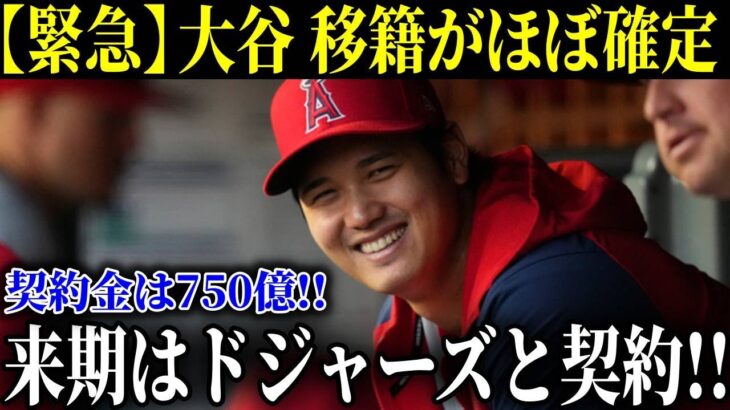 大谷翔平「750億円」ドジャース移籍「ほぼ決まり」で“先輩”石井一久の妻・木佐彩子が新生活アドバイス【MLB/大谷翔平/海外の反応】