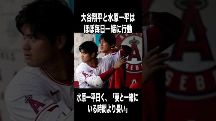 【大谷翔平と水原一平】90万回視聴された２人の関係…仲良し雑学part3【海外の反応】