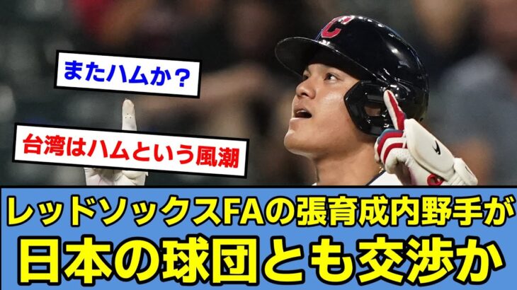 【取るんか？】レッドソックスFAの張育成内野手が日本の球団とも交渉か　WBCでベストナインに選出