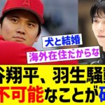 【犬でさえ丸太小屋大荒れ】大谷翔平、羽生騒動でとんでもないことが確定してしまう…【なんJ プロ野球反応】