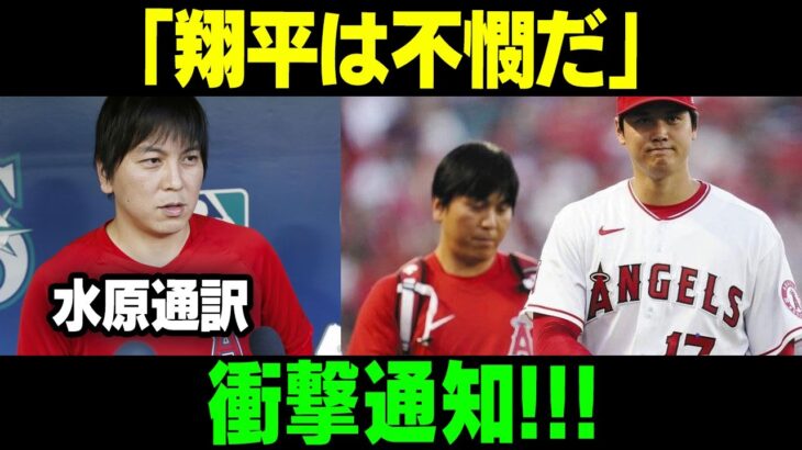 【MLB/大谷翔平/海外の反応】水原通訳、衝撃通知 !!