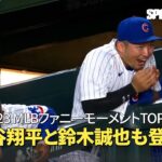 【MLB】 2023 MLBファニーモーメントTOP10公開！大谷翔平と鈴木誠也も登場！