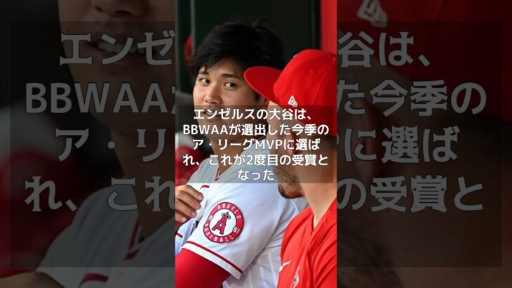 【MLB 吉報】大谷翔平を「誇りに思うぜ、ブラザー」　史上初快挙のMVP受賞を相棒トラウトも祝福　#shorts