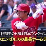 【MLB】2023年のエンゼルスの最長ホームランTOP5！ 大谷翔平のホームランは何本がランクイン？