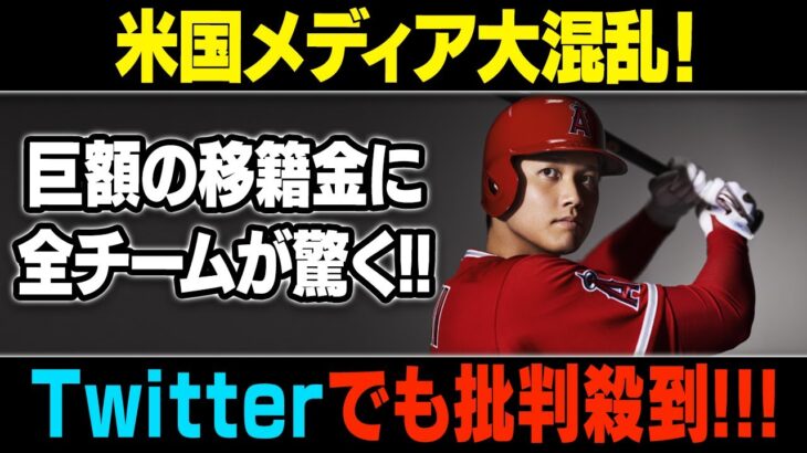 【MLB/大谷翔平/海外の反応】大谷翔平5億ドルで交渉！? 大谷は獲得しない…衝擊的大真実!?