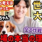 大谷翔平、満票MVP選出時のワンちゃん登場は仕組まれたものだった？「オオタニ犬になりたい」と世界中が大騒ぎする中で衝撃の考察【海外の反応】