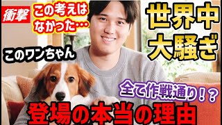 大谷翔平、満票MVP選出時のワンちゃん登場は仕組まれたものだった？「オオタニ犬になりたい」と世界中が大騒ぎする中で衝撃の考察【海外の反応】