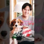 【⠀犬と大谷翔平選手🐶♥♥】MVP受賞おめでとうございます🎉