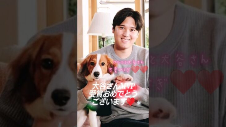 【⠀犬と大谷翔平選手🐶♥♥】MVP受賞おめでとうございます🎉