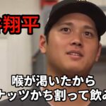 【アフレコ】MVPの大谷翔平は喉が渇いたらココナッツかち割って飲む