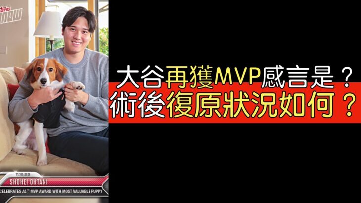 【中譯】大谷翔平第二度獲選美聯MVP受訪