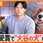 「大谷さんの犬かわいすぎ」犬種はコーイケルホンディエ、いつから一緒？いま何歳？【Nスタ解説】｜TBS NEWS DIG