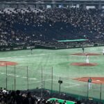 オーストラリアに凄まじい阪神応援が響き渡る！日本人応援団がSNSで集結！アジアプロ野球チャンピオンシップ2023 11/19(日)東京ドーム　台湾対オーストラリア